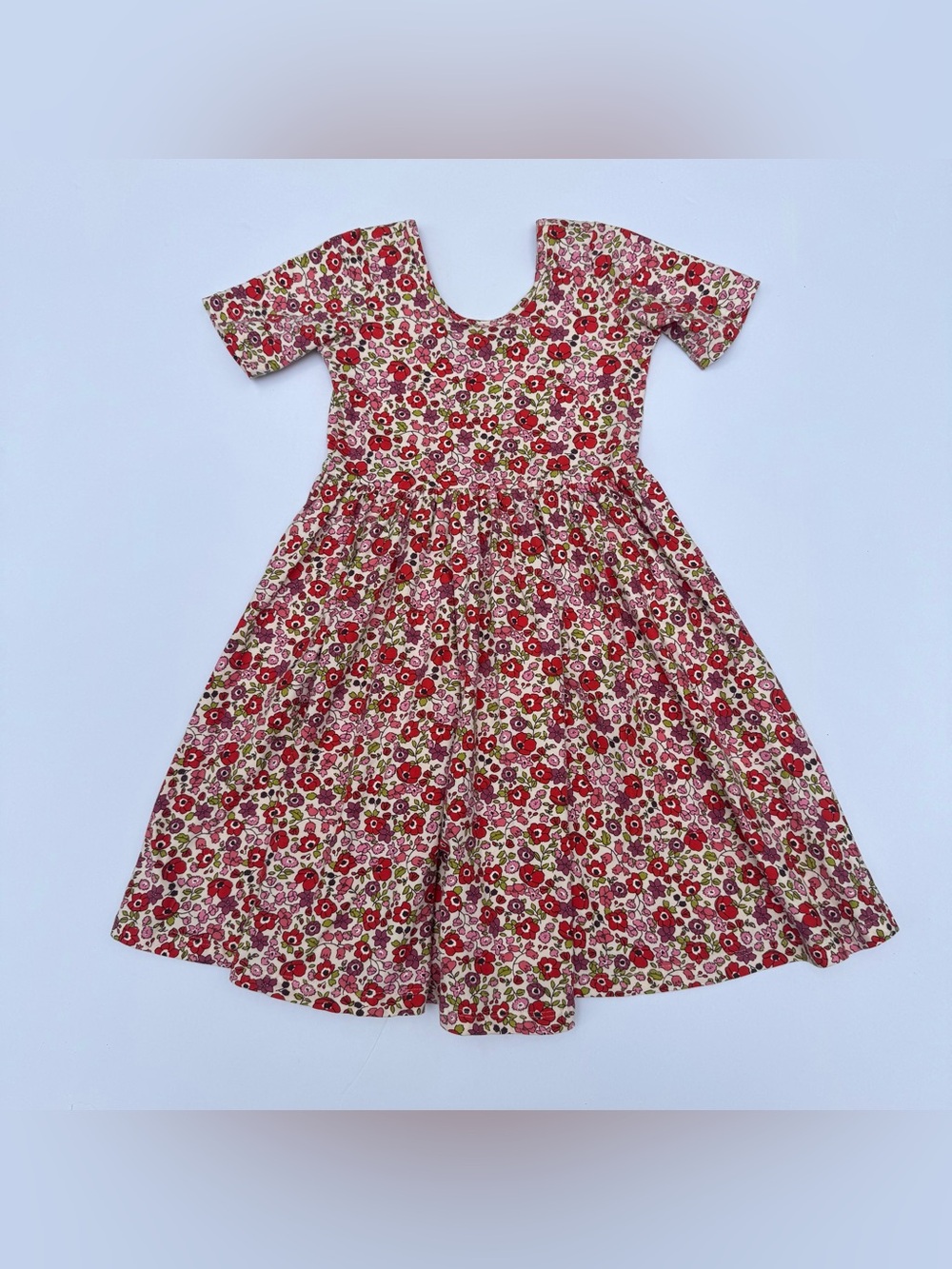 Alice + Ames Pink & Red Floral Twirl Dress